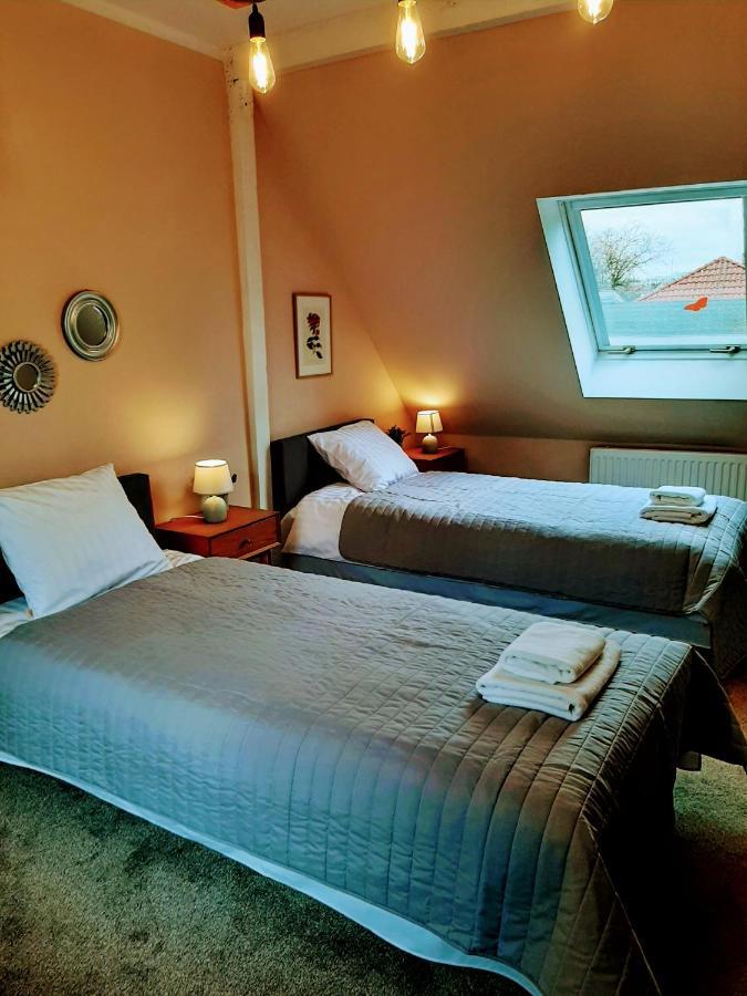 Drzewna Apartamenty - Kupiecka 5 Zielona Góra Eksteriør billede